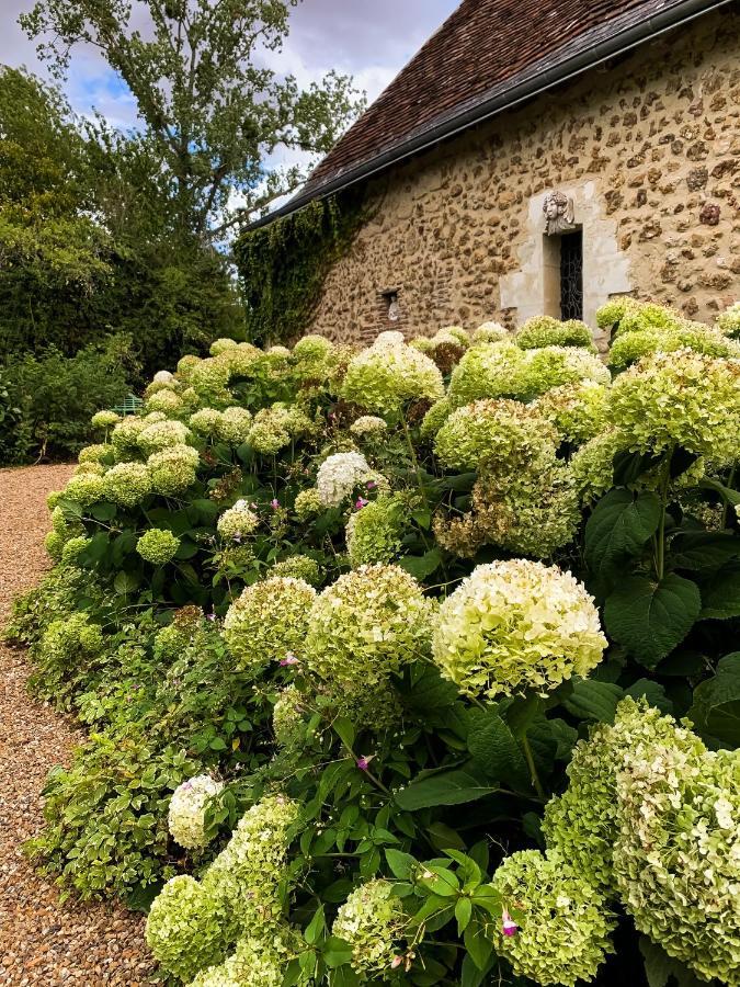 Le Manoir De Maucartier Bed & Breakfast Monnaie Bagian luar foto